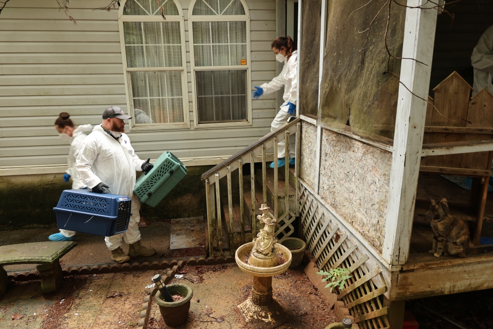 3 Animal Control officers work a case