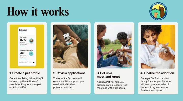 RehomeHowitworks